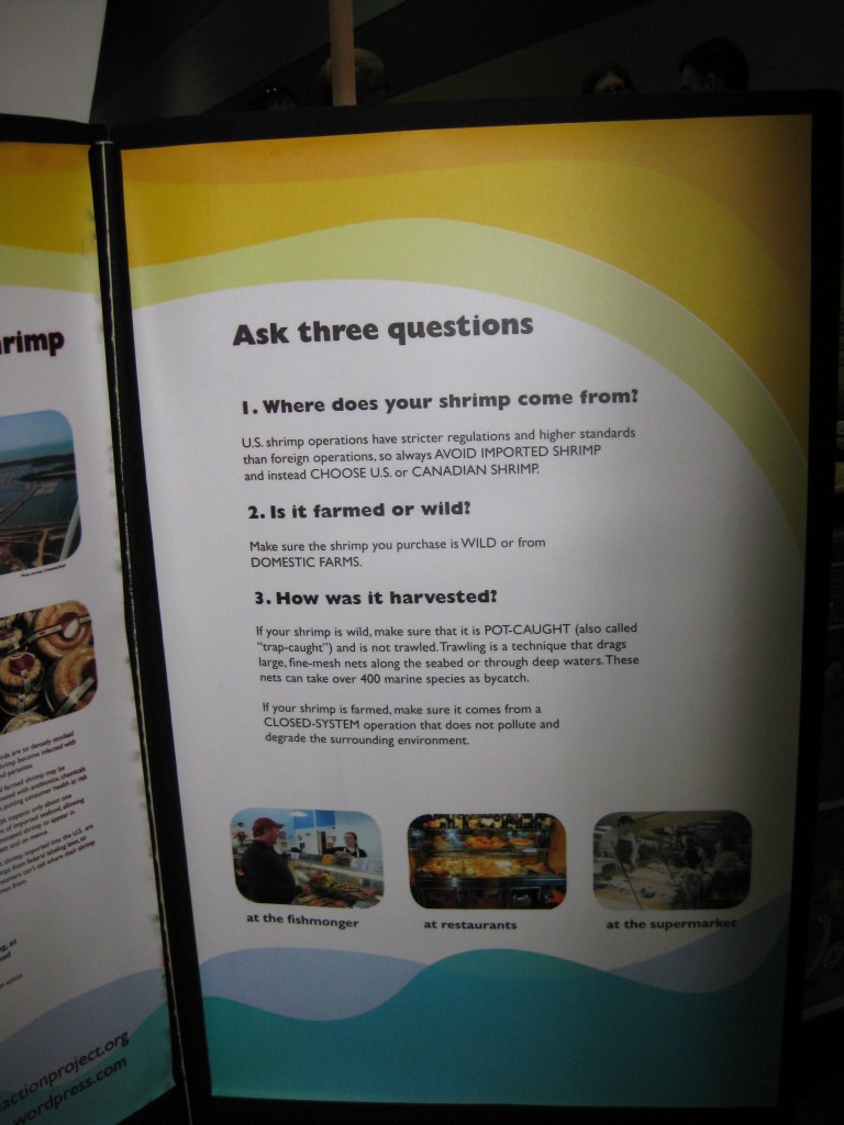 Shrimp info 2