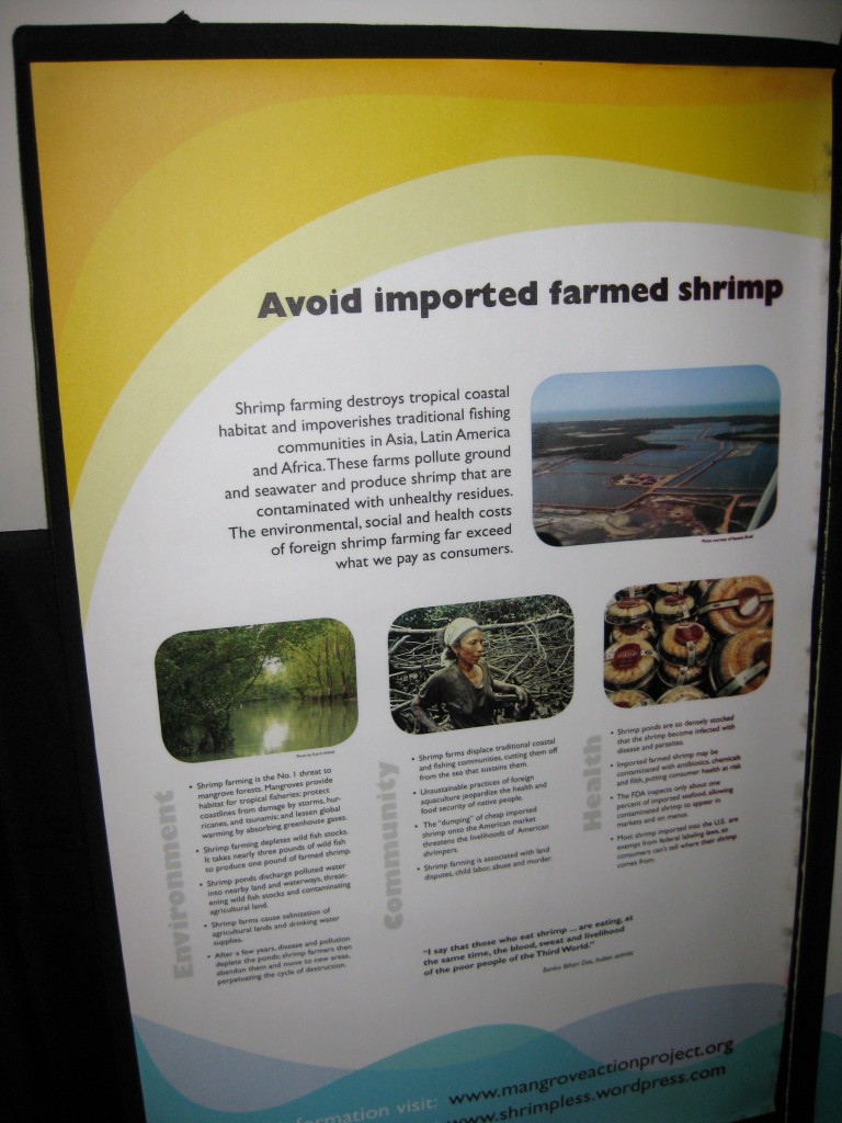 shrimp info 1