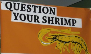shrimp
